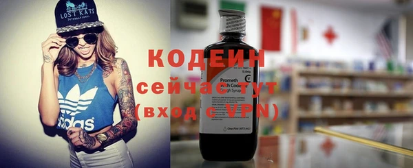индика Баксан
