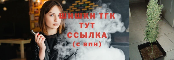 индика Баксан