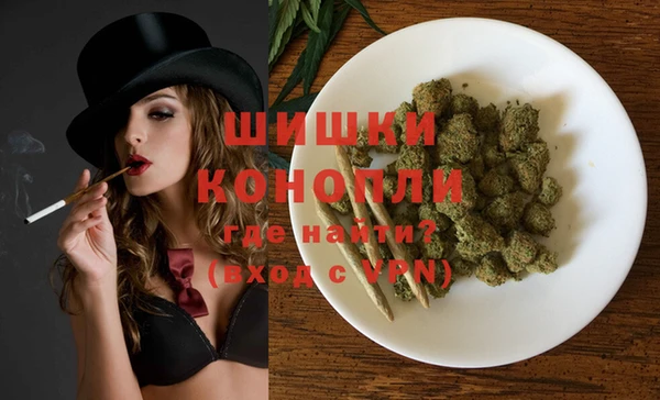индика Баксан