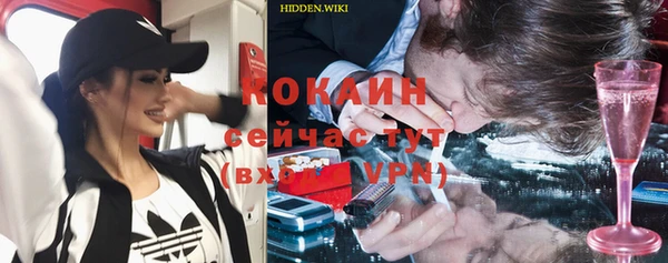 индика Баксан
